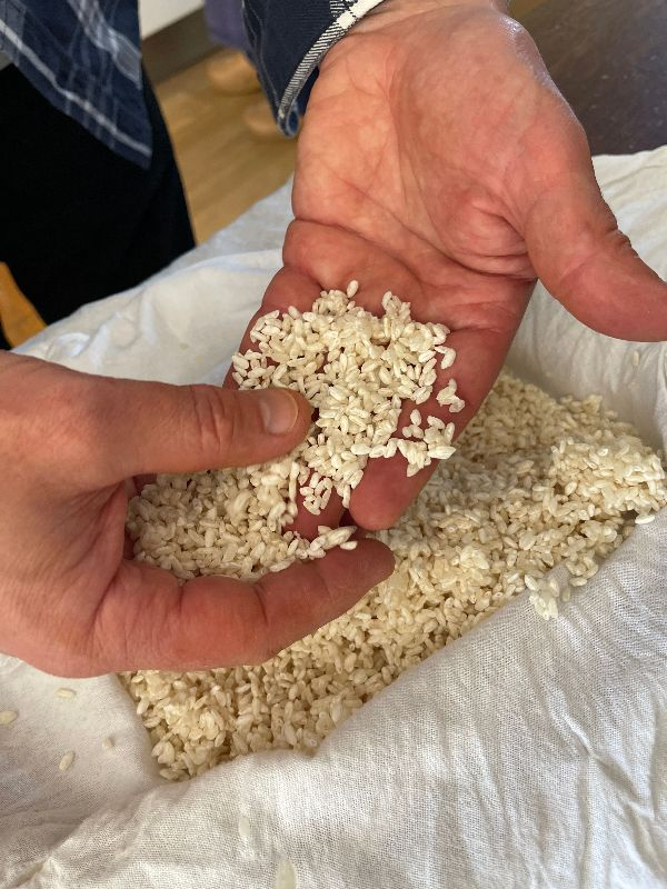 mouvement koji