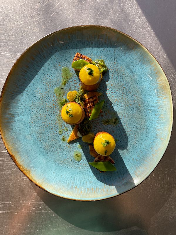 Platcréatifvégétal